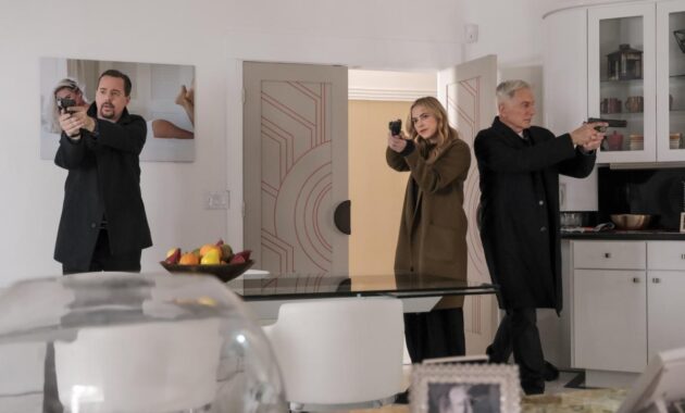 NCIS : Enquêtes spéciales : photo, Mark Harmon, Sean Murray
