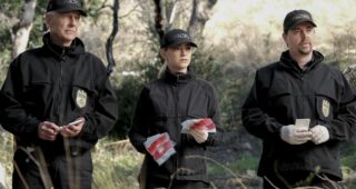 NCIS : Enquêtes spéciales : photo, Mark Harmon, Sean Murray