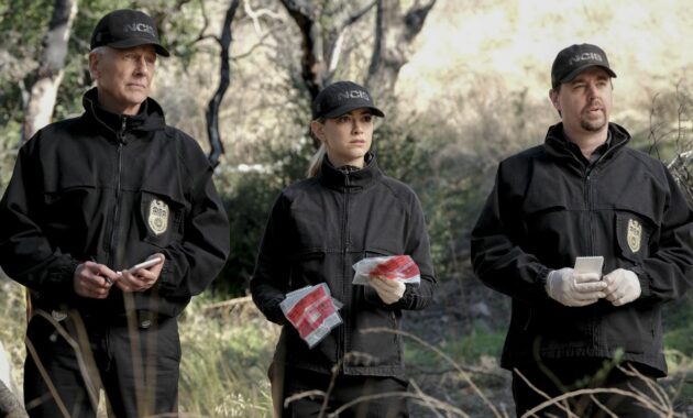 NCIS : Enquêtes spéciales : photo, Mark Harmon, Sean Murray