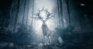 Shadow and Bone : photo
