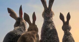 Saison 1 : Affiche officielle