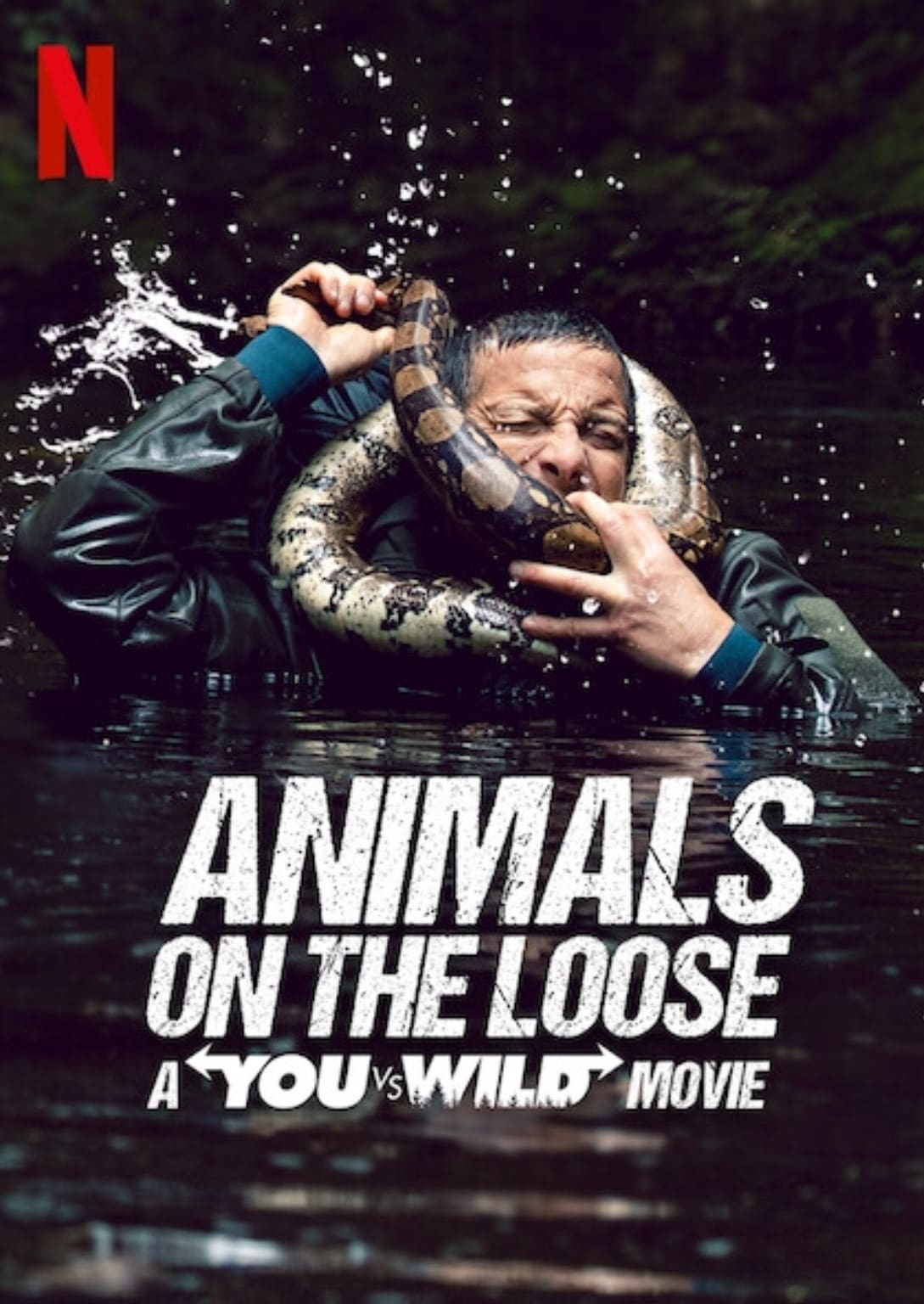 Sauve qui peut : Un film « You vs. Wild » : Affiche officielle