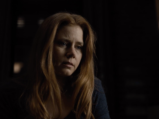 photo, Amy Adams