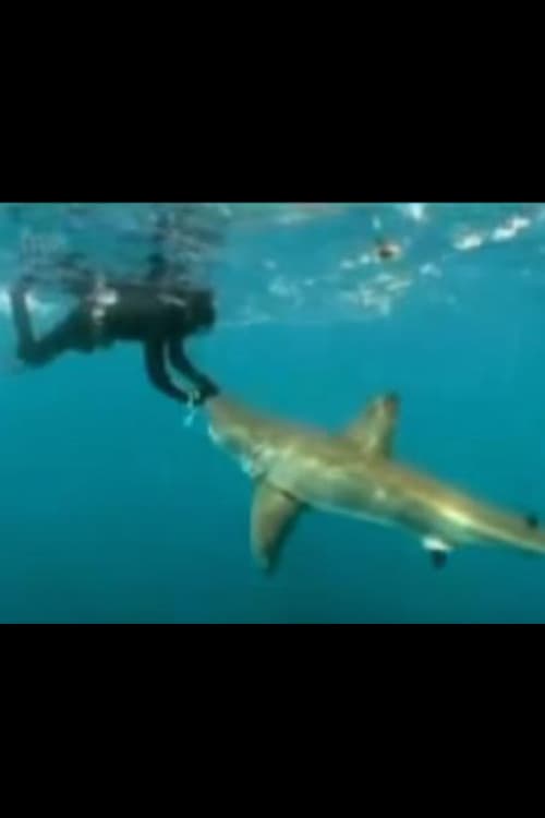 L’Homme qui charmait les requins : Affiche officielle