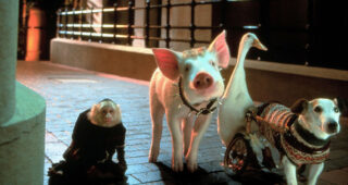 Babe, le cochon dans la ville : photo