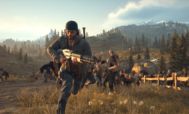 Days Gone : photo