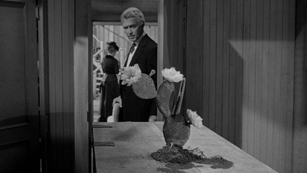 photo, James Stewart