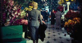 Sueurs froides : photo, Kim Novak