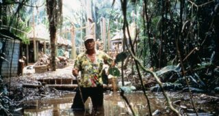 Mosquito Coast : photo