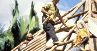 Mosquito Coast : photo, Harrison Ford