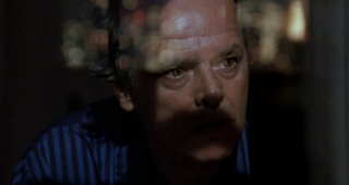 Wolf : photo, Jack Nicholson