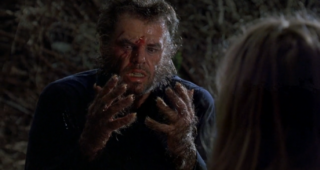 Wolf : photo, Jack Nicholson