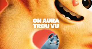 Les Bouchetrous : Affiche officielle
