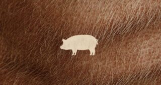 Pig : Affiche officielle