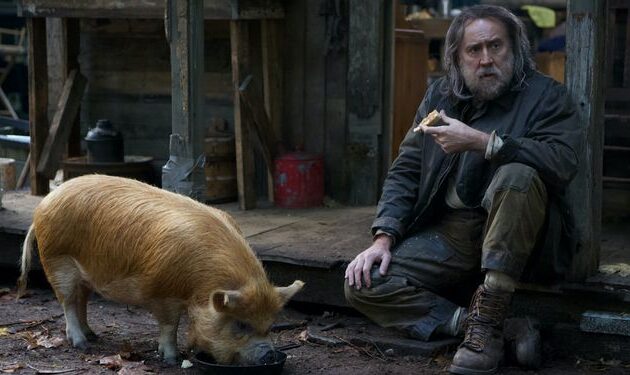 Pig : photo, Nicolas Cage