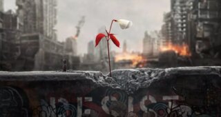 The Handmaid’s Tale : Affiche française