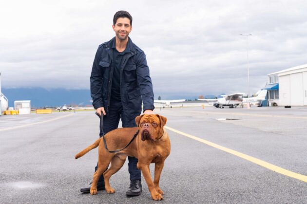 photo, Josh Peck