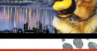 Saison 7 : Affiche officielle