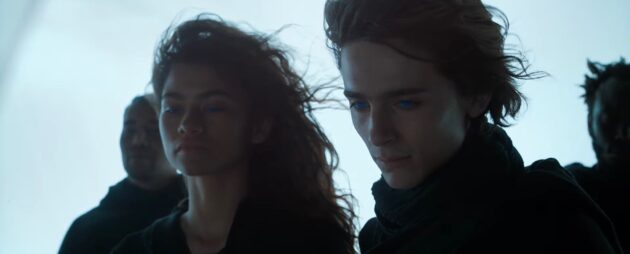 photo, Timothée Chalamet, Zendaya