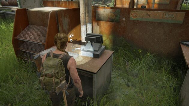 The Last of Us - Part II : photo