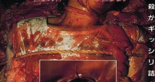 Guinea Pig 2: Flowers of Flesh and Blood : Affiche officielle