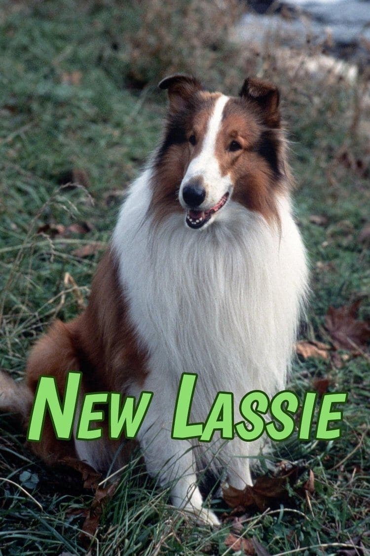 Les Nouvelles aventures de Lassie