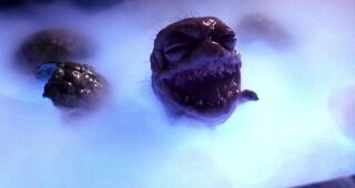 Critters 4 : photo