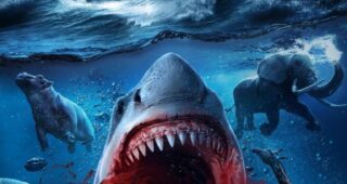 Noah’s Shark : Affiche