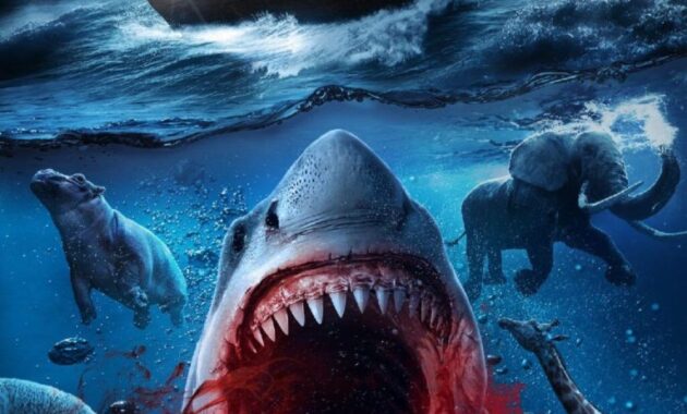 Noah’s Shark : Affiche