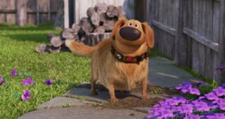 Bienvenue chez Doug : photo