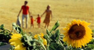Le Bonheur : photo