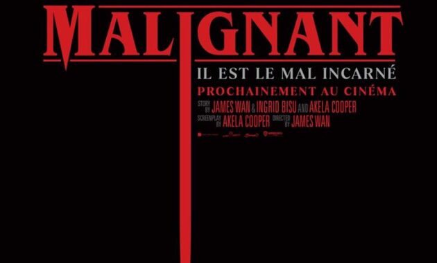 Malignant : Affiche française