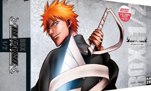 Bleach : Visuel coffret DVD