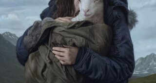 Lamb : photo