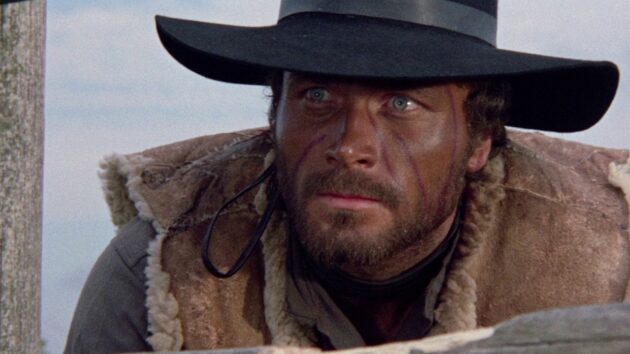 photo, Franco Nero