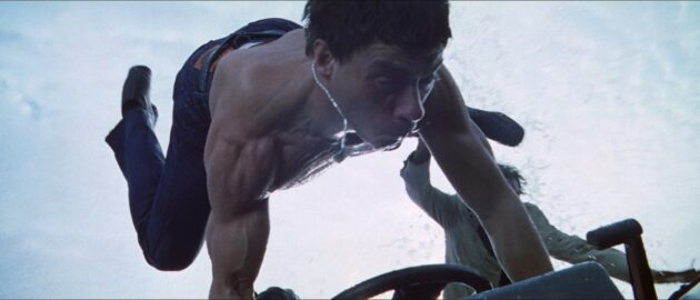 photo, Jean-Claude Van Damme