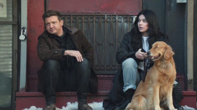 Hawkeye : photo
