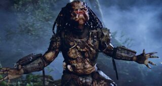 Predator : photo