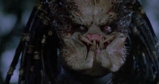 Predator : photo