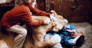 Roar : Tippi Hedren, Melanie Griffith