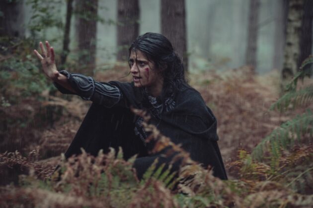 The Witcher : photo
