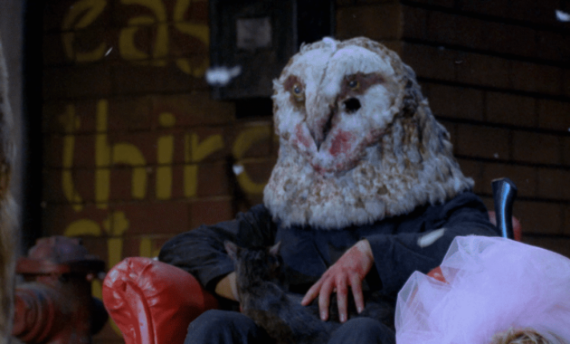 Bloody Bird : photo