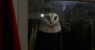 Bloody Bird : photo