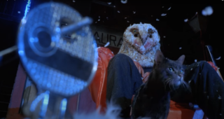 Bloody Bird : photo