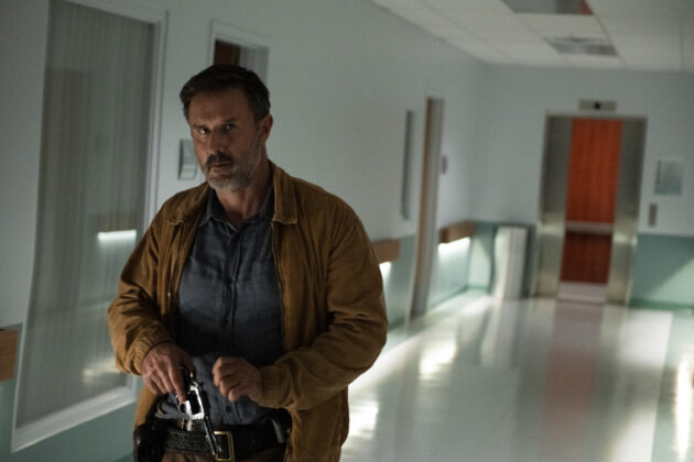 Scream : photo, David Arquette