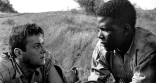 Sidney Poitier : photo, La Chaîne, Tony Curtis
