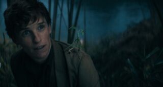 Les Animaux fantastiques : Les Secrets de Dumbledore : photo, Eddie Redmayne