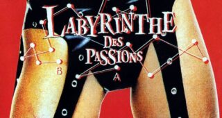 Le Labyrinthe des passions : Affiche officielle