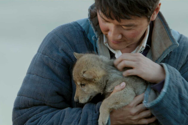 Le Dernier Loup : photo, Shaofeng Feng