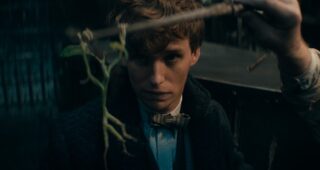 Les Animaux fantastiques : Les Secrets de Dumbledore : Photo Eddie Redmayne